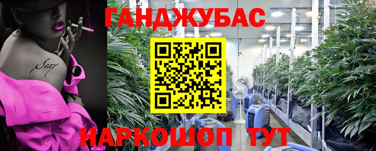 Карпинск  Каннабис планчик  Бошки марихуана марихуана  Вход с VPN 